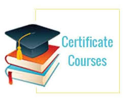 Our Courses 