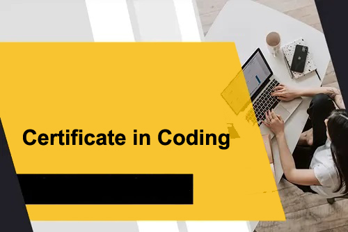 Course - Diploma in Computer Application - 6 Month