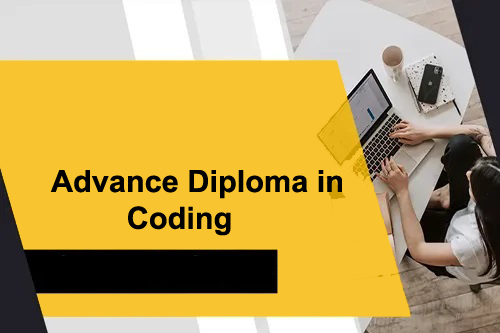 Course - Diploma in Computer Application - 6 Month