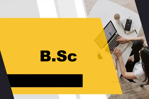 Course - Diploma in Computer Application - 6 Month