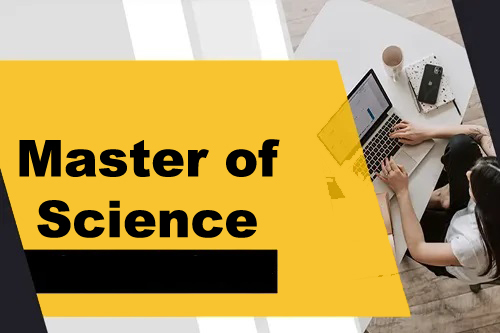 Course - Diploma in Computer Application - 6 Month