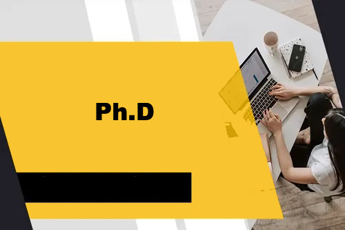 Course - Diploma in Computer Application - 6 Month